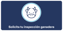 a_icon_art_1.png